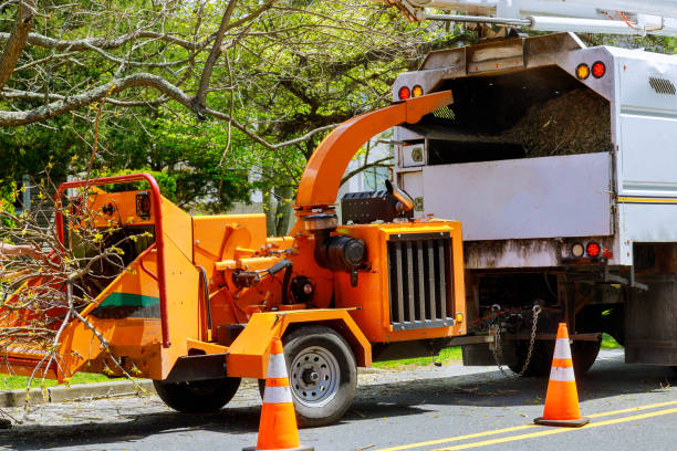Lawn Drainage Solutions in Jamaica Beach, TX